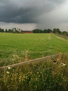 On pilgrimage in Östergötland, Sweden, July, 2011 by Circespeaks