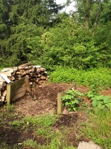 Home compost pile by Circespeaks